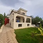 Vilă Marinea *